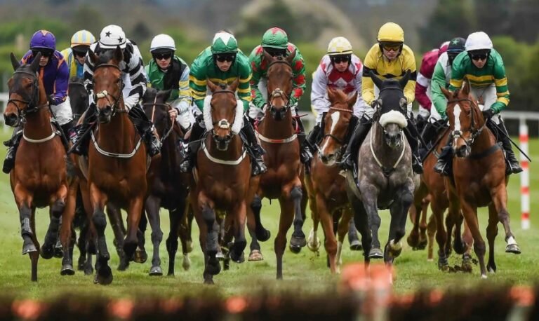 Best Betting Websites For Horse Racing